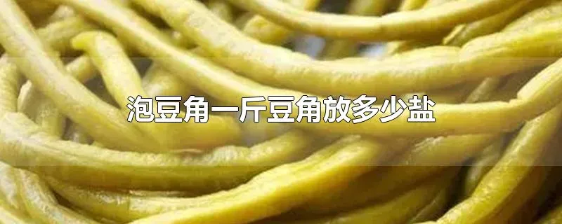 泡豆角一斤豆角放多少盐