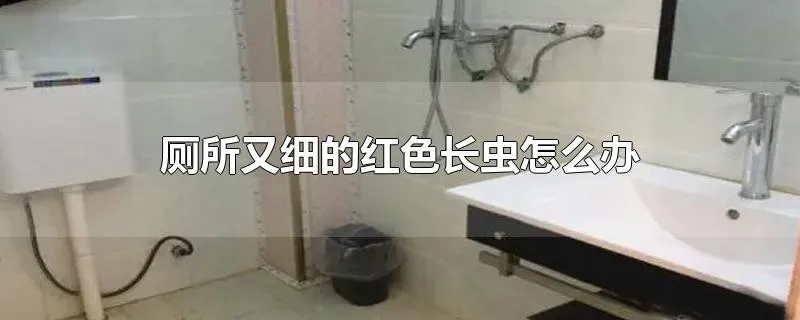 厕所又细的红色长虫怎么办