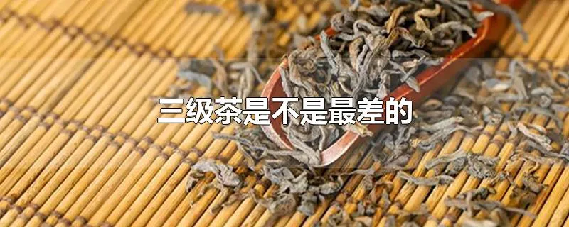 三级茶是不是最差的