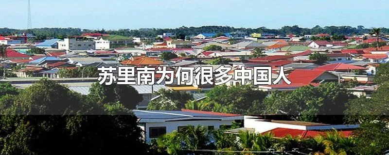 苏里南为何很多中国人