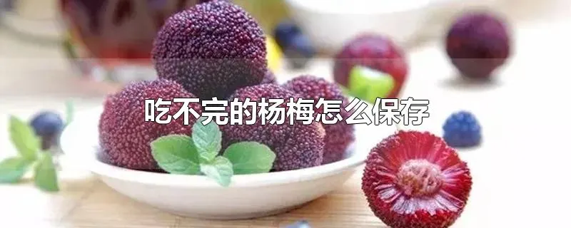 吃不完的杨梅怎么保存