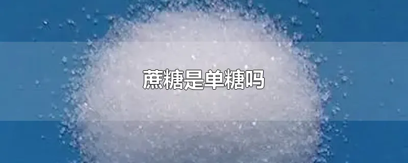 蔗糖是单糖吗