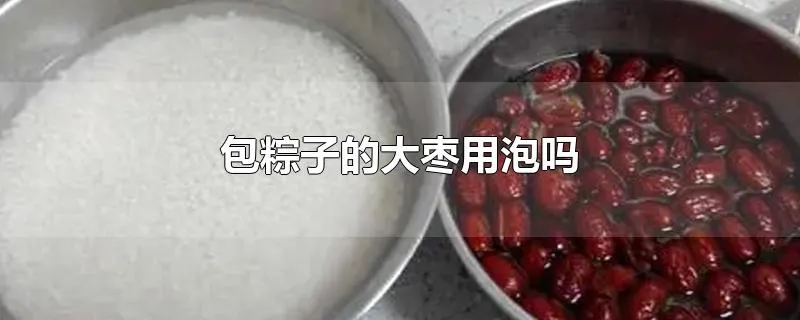 包粽子的大枣用泡吗