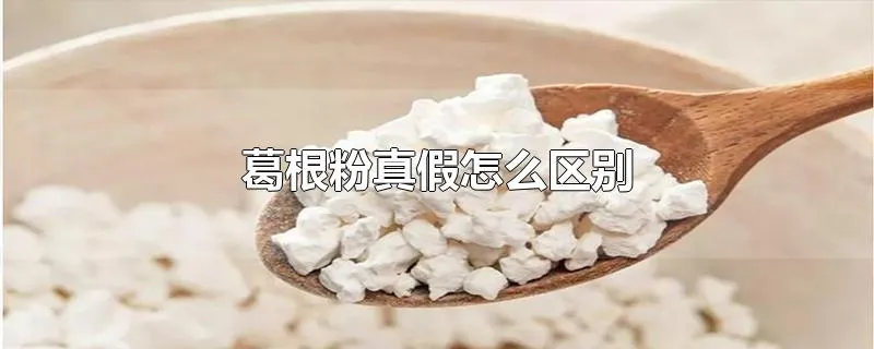 葛根粉真假怎么区别