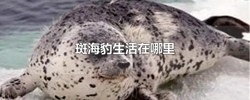 斑海豹生活在哪里