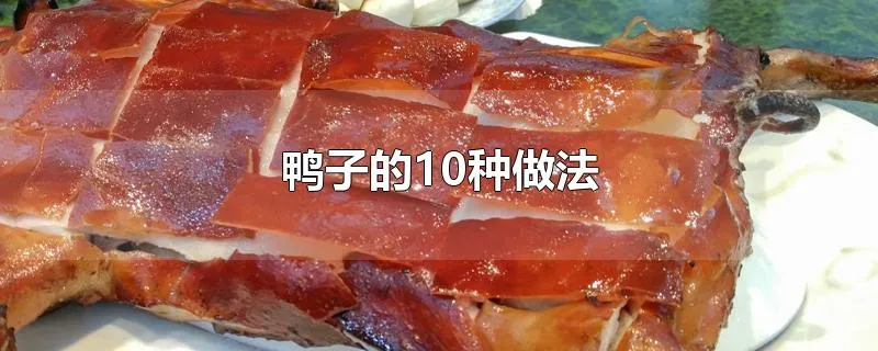 鸭子的10种做法