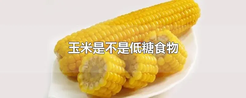 玉米是不是低糖食物