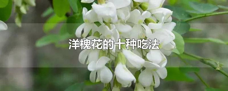 洋槐花的十种吃法