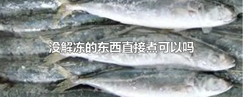 没解冻的东西直接煮可以吗