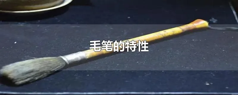 毛笔的特性