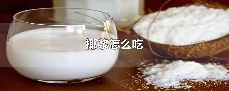 椰浆怎么吃