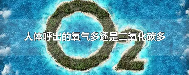 人体呼出的氧气多还是二氧化碳多