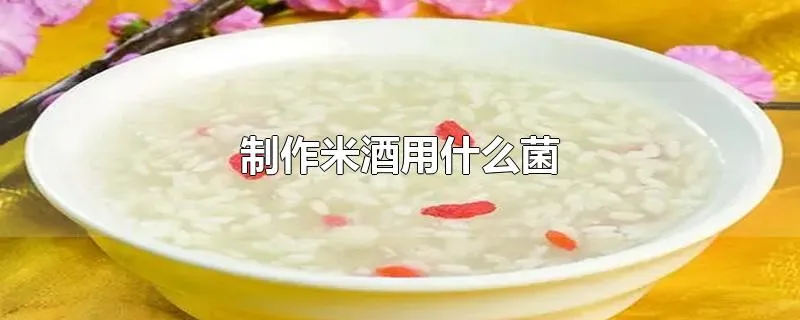 制作米酒用什么菌