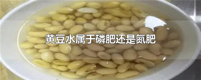 黄豆水属于磷肥还是氮肥
