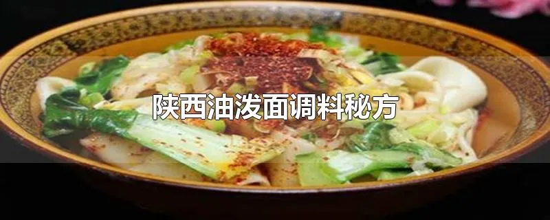 陕西油泼面调料秘方