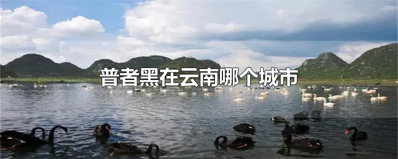普者黑在云南哪个城市