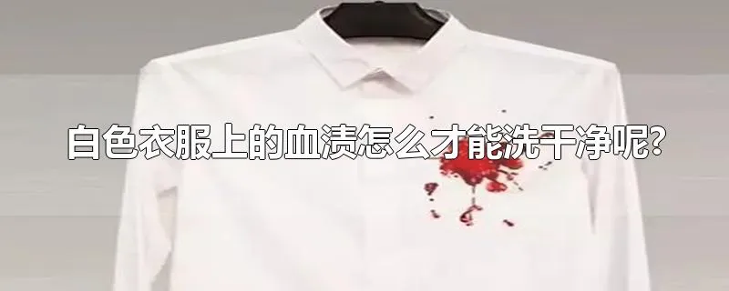 白色衣服上的血渍怎么才能洗干净呢?