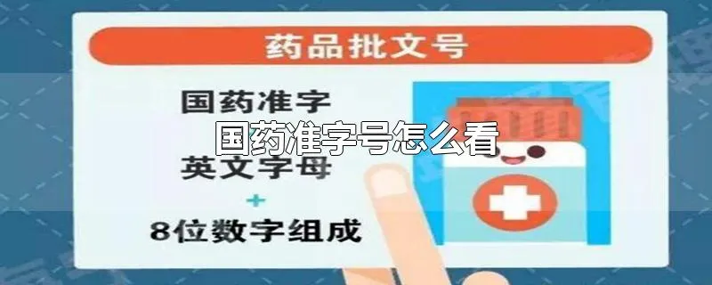 国药准字号怎么看