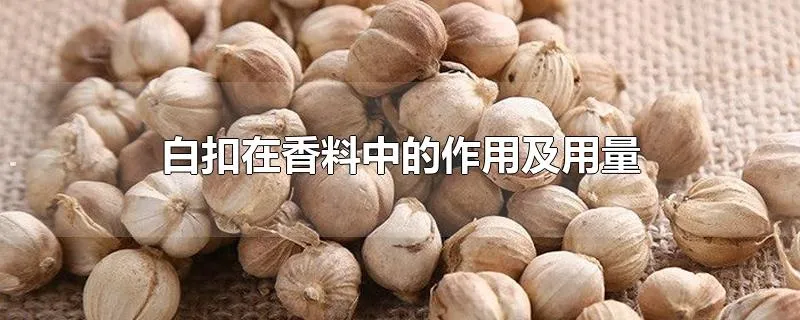 白扣在香料中的作用及用量