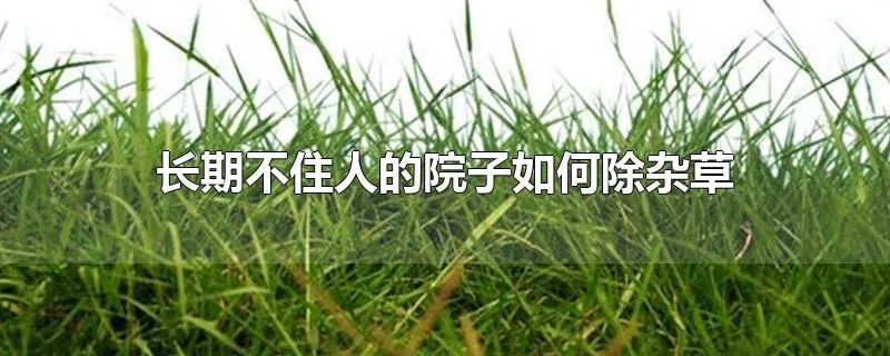 长期不住人的院子如何除杂草