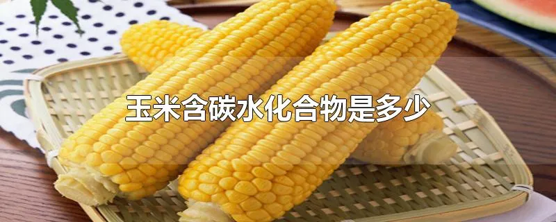 玉米含碳水化合物是多少