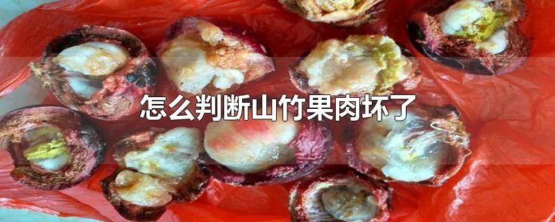 怎么判断山竹果肉坏了