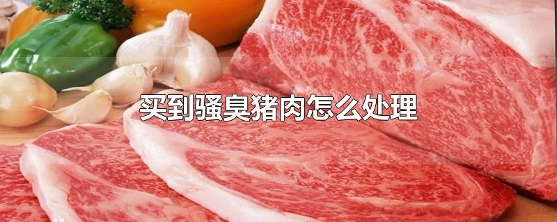 买到骚臭猪肉怎么处理