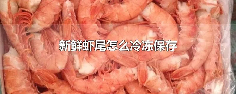新鲜虾尾怎么冷冻保存