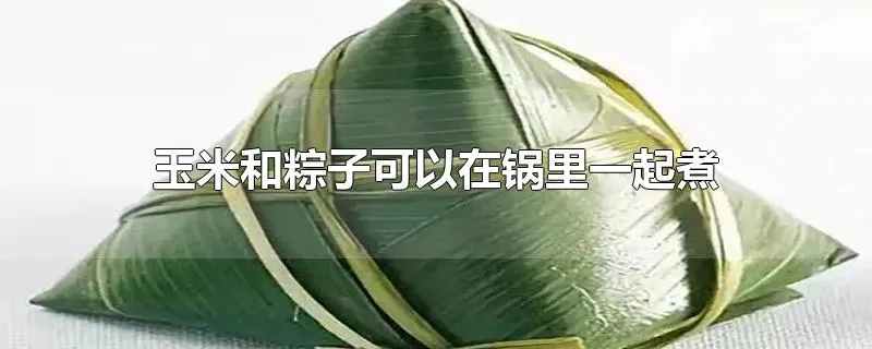 玉米和粽子可以在锅里一起煮吗