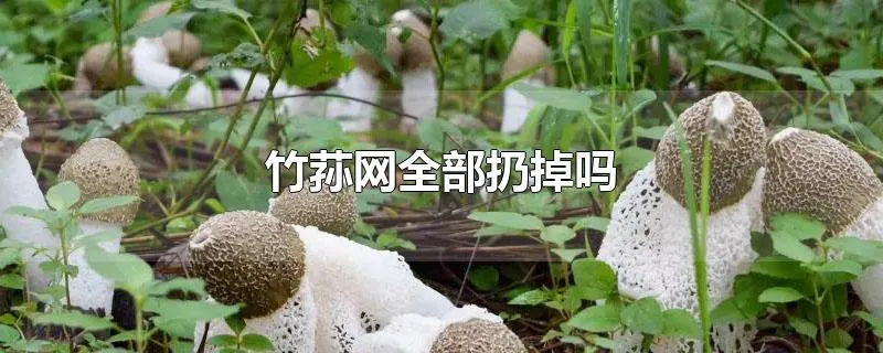 竹荪网全部扔掉吗