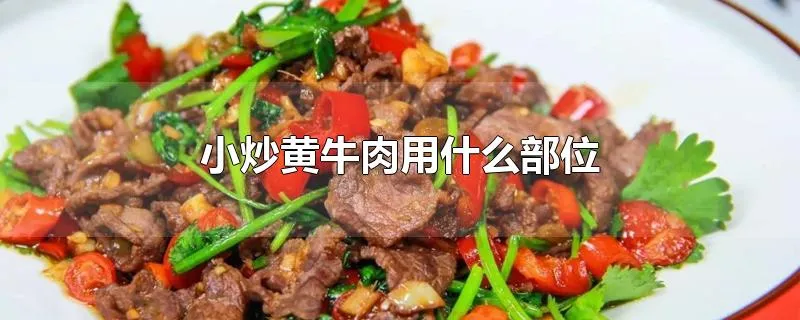 小炒黄牛肉用什么部位