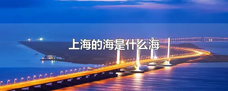 上海的海是什么海