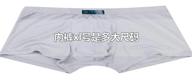 内裤xl号是多大尺码