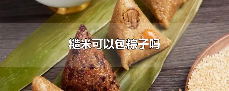 糙米可以包粽子吗