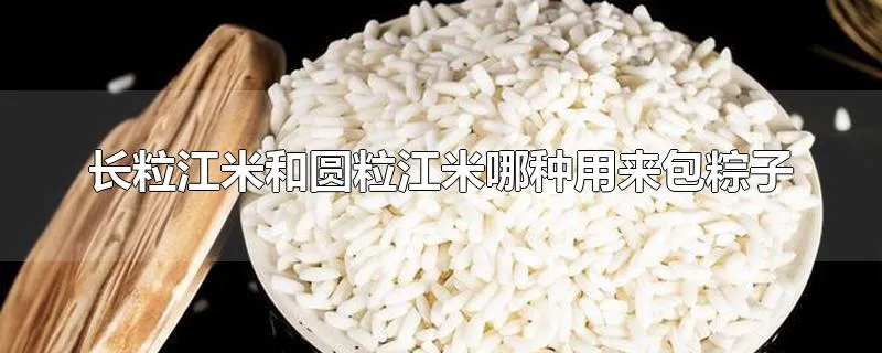 长粒江米和圆粒江米哪种用来包粽子