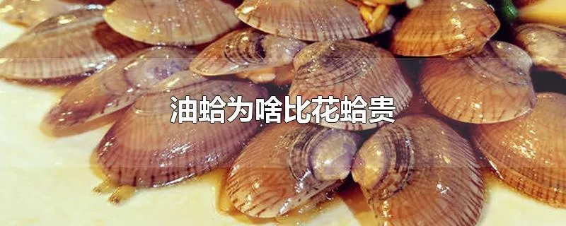 油蛤为啥比花蛤贵
