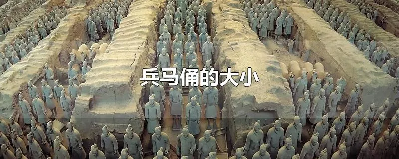 兵马俑的大小