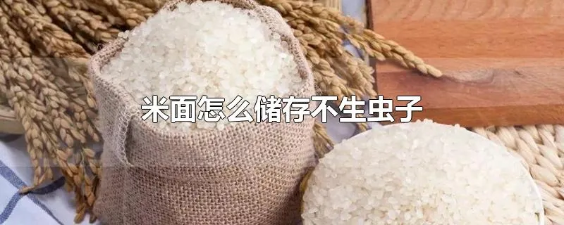 米面怎么储存不生虫子