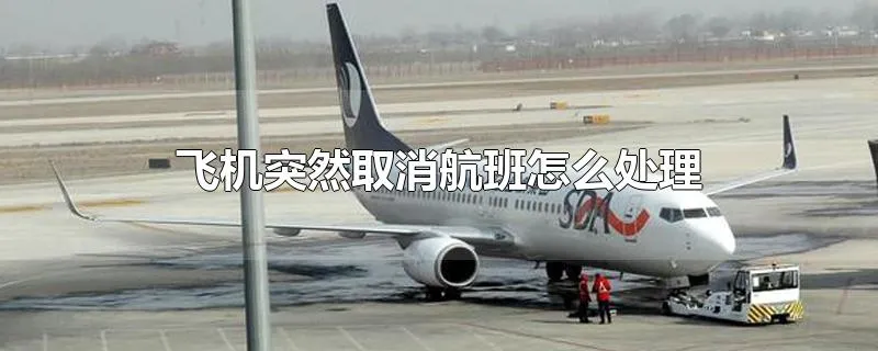 飞机突然取消航班怎么处理