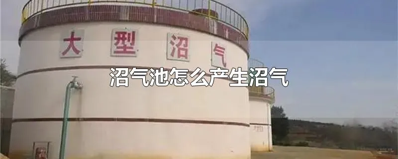 沼气池怎么产生沼气