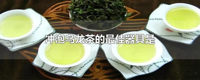 冲泡乌龙茶的最佳器具是