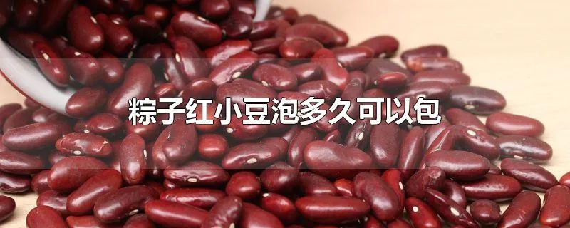 粽子红小豆泡多久可以包