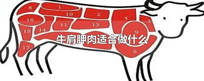 牛肩胛肉适合做什么