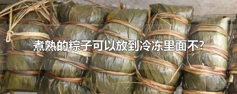 煮熟的粽子可以放到冷冻里面不?
