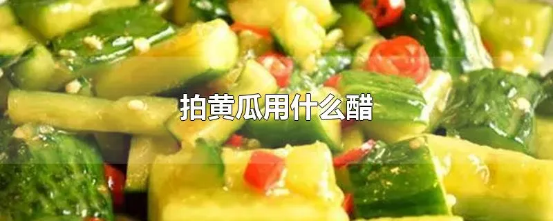 拍黄瓜用什么醋