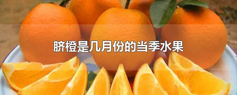 脐橙是几月份的当季水果