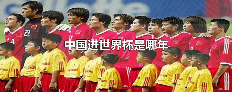 中国进世界杯是哪年