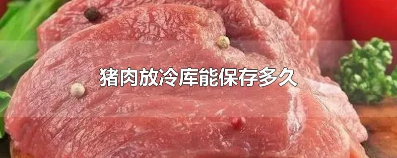 猪肉放冷库能保存多久