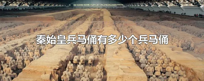 秦始皇兵马俑有多少个兵马俑