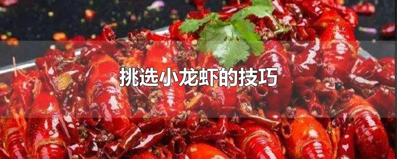 挑选小龙虾的技巧